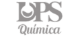 Logo DPS